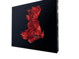 MÀN HÌNH LED MAXHUB GH31 SERIES